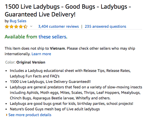 lady-bugs