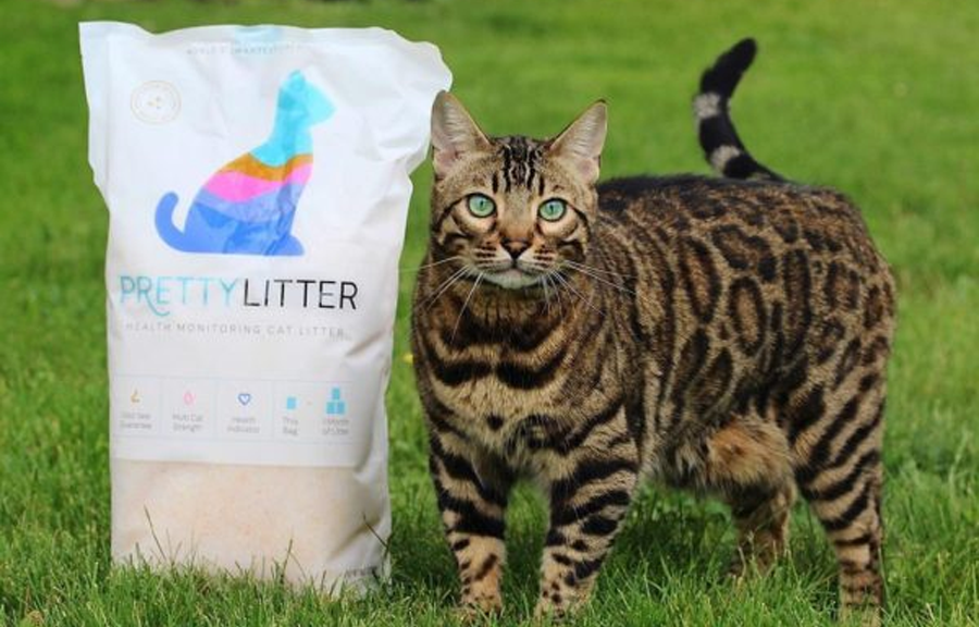 About Pretty Litter