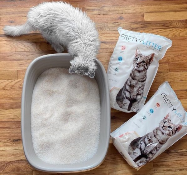 Cat-Litter