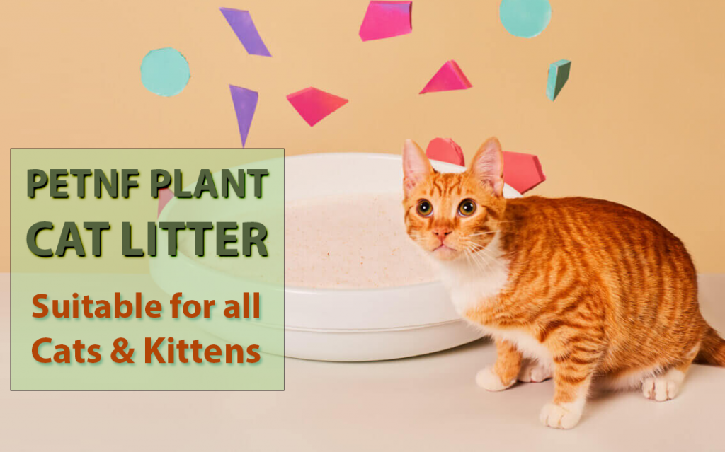 Pretty Litter Review