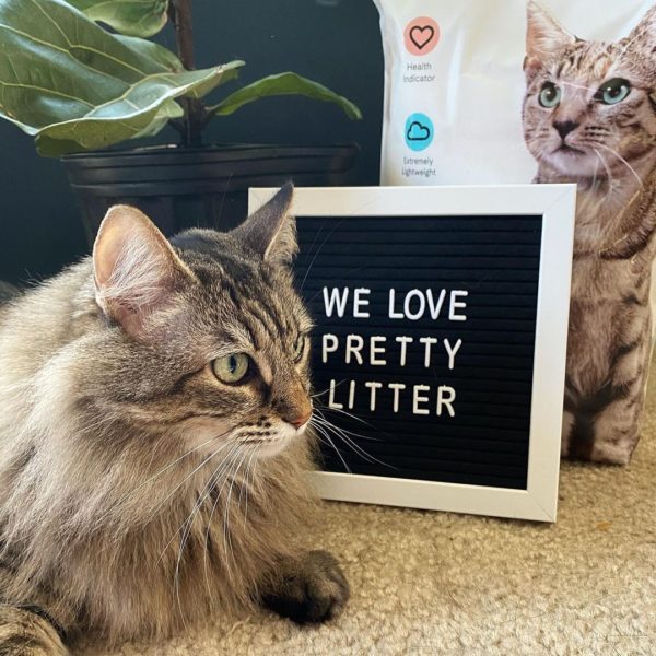 Pretty Litter Reviews