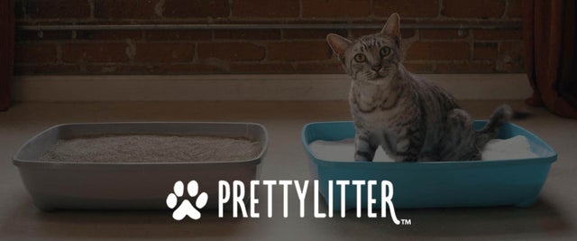 Pretty Litter Worth