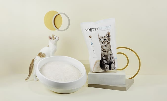 PrettyLitter_display